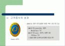 우리은행 CI 사례조사 33페이지