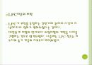 지도성 이론 (특성, 기술 그리고 지도성) 27페이지