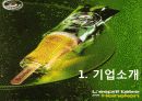 하이네켄 (HEINEKEN) 5페이지