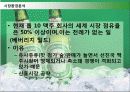 하이네켄 (HEINEKEN) 16페이지