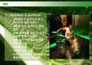 하이네켄 (HEINEKEN) 29페이지