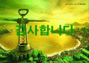 하이네켄 (HEINEKEN) 34페이지