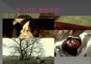 B군 성격장애 11페이지