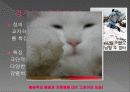 B군 성격장애 66페이지