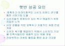  Lifestyle 사례 조사 22페이지