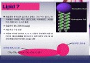 제3장 지질소재 건강기능식품 2페이지