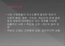 글로벌전략 보충자료 묶음 6페이지