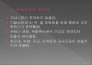 글로벌전략 보충자료 묶음 22페이지