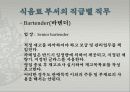 식음료 서비스조직과 직무 23페이지
