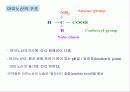 영양화학 4장. 단백질(Protein) 3페이지