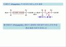 영양화학 4장. 단백질(Protein) 4페이지