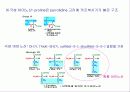 영양화학 4장. 단백질(Protein) 12페이지