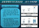 금융경제위기와대책 19페이지