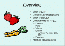 HPLC - Liquid Chromatography 2페이지