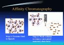 HPLC - Liquid Chromatography 44페이지