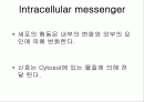 INTRACELLUAR MESSENGE 2페이지