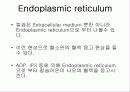 INTRACELLUAR MESSENGE 6페이지