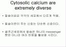 INTRACELLUAR MESSENGE 10페이지