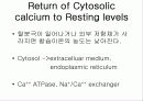 INTRACELLUAR MESSENGE 12페이지