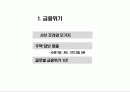 -미국의경제위기 2페이지