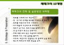 한국인의_노후대비_PPT 13페이지