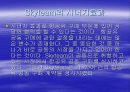 항공사간의 alliance 11페이지