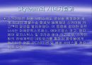 항공사간의 alliance 12페이지