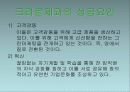GreenMarketing 13페이지