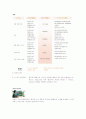 후지 제록스 그린마케팅 (FUJI XEROX  Green Marketing) 8페이지
