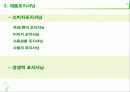 진로소주의STP전략 6페이지