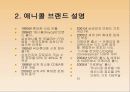 삼성 애니콜의 STP 전략 4페이지