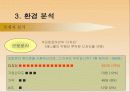삼성 애니콜의 STP 전략 10페이지