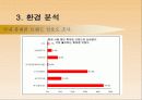 삼성 애니콜의 STP 전략 12페이지