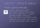 GS칼텍스그린마케팅 10페이지