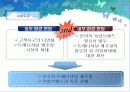 빈폴STP전략 7페이지