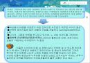 빈폴STP전략 14페이지