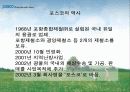 STP사례(컨디션) Green Marketing(포스코)Decomas(신라명과) 13페이지