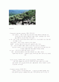종의 형성 (The formation of species) 10페이지