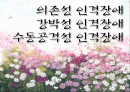 의존성, 강박성, 수동공격성 인격장애 1페이지