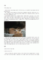 교육에 있어서 자유와 평등 2페이지