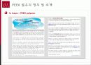 미래의 소재 Peek 섬유 보고서 8페이지
