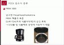 미래의 소재 Peek 섬유 보고서 10페이지
