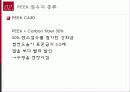 미래의 소재 Peek 섬유 보고서 12페이지