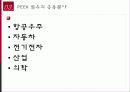 미래의 소재 Peek 섬유 보고서 17페이지