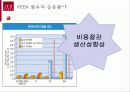 미래의 소재 Peek 섬유 보고서 24페이지