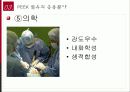 미래의 소재 Peek 섬유 보고서 25페이지
