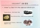 신소재 셀리언트(Celliant)의 활용 및 연구 5페이지