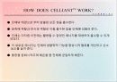 신소재 셀리언트(Celliant)의 활용 및 연구 6페이지