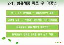 재료공학 난연섬유, 난연소재 연구 보고서 6페이지