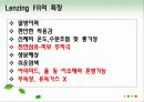 재료공학 난연섬유, 난연소재 연구 보고서 12페이지